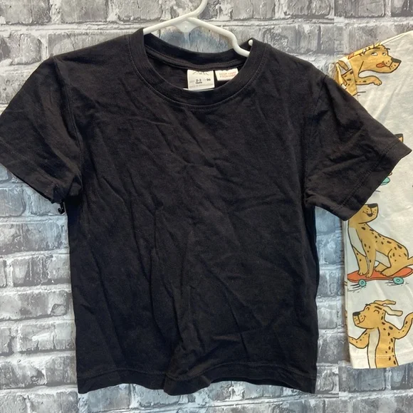 Zara T-shirts - Picture 5 of 9